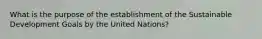 What is the purpose of the establishment of the Sustainable Development Goals by the United Nations?