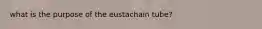 what is the purpose of the eustachain tube?