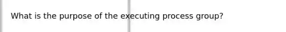 What is the purpose of the executing process group?