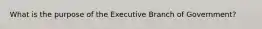 What is the purpose of the Executive Branch of Government?