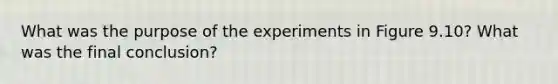 What was the purpose of the experiments in Figure 9.10? What was the final conclusion?