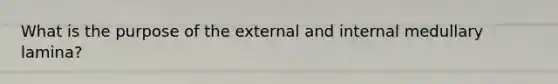 What is the purpose of the external and internal medullary lamina?