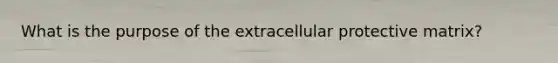 What is the purpose of the extracellular protective matrix?