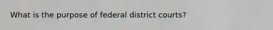 What is the purpose of federal district courts?