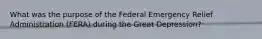 What was the purpose of the Federal Emergency Relief Administration (FERA) during the Great Depression?