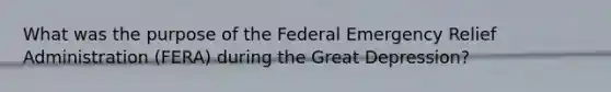 What was the purpose of the Federal Emergency Relief Administration (FERA) during the Great Depression?