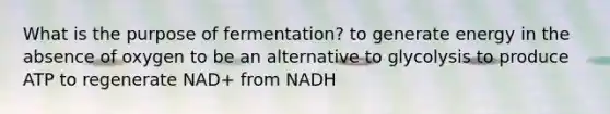 What is the purpose of fermentation? to generate energy in the absence of oxygen to be an alternative to glycolysis to produce ATP to regenerate NAD+ from NADH