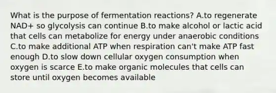 What is the purpose of fermentation reactions? A.to regenerate NAD+ so glycolysis can continue B.to make alcohol or lactic acid that cells can metabolize for energy under anaerobic conditions C.to make additional ATP when respiration can't make ATP fast enough D.to slow down cellular oxygen consumption when oxygen is scarce E.to make <a href='https://www.questionai.com/knowledge/kjUwUacPFG-organic-molecules' class='anchor-knowledge'>organic molecules</a> that cells can store until oxygen becomes available