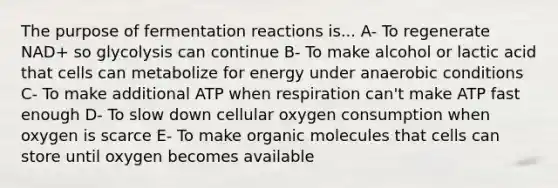 The purpose of fermentation reactions is... A- To regenerate NAD+ so glycolysis can continue B- To make alcohol or lactic acid that cells can metabolize for energy under anaerobic conditions C- To make additional ATP when respiration can't make ATP fast enough D- To slow down cellular oxygen consumption when oxygen is scarce E- To make organic molecules that cells can store until oxygen becomes available