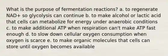 What is the purpose of fermentation reactions? a. to regenerate NAD+ so glycolysis can continue b. to make alcohol or lactic acid that cells can metabolize for energy under anaerobic conditions c. to make additional ATP when respiration can't make ATP fast enough d. to slow down cellular oxygen consumption when oxygen is scarce e. to make organic molecules that cells can store until oxygen becomes available