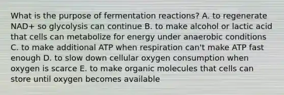 What is the purpose of fermentation reactions? A. to regenerate NAD+ so glycolysis can continue B. to make alcohol or lactic acid that cells can metabolize for energy under anaerobic conditions C. to make additional ATP when respiration can't make ATP fast enough D. to slow down cellular oxygen consumption when oxygen is scarce E. to make <a href='https://www.questionai.com/knowledge/kjUwUacPFG-organic-molecules' class='anchor-knowledge'>organic molecules</a> that cells can store until oxygen becomes available