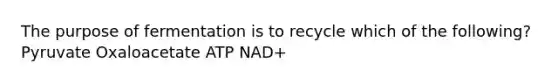 The purpose of fermentation is to recycle which of the following? Pyruvate Oxaloacetate ATP NAD+