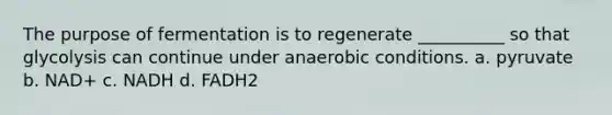 The purpose of fermentation is to regenerate __________ so that glycolysis can continue under anaerobic conditions. a. pyruvate b. NAD+ c. NADH d. FADH2