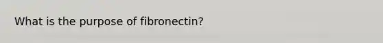 What is the purpose of fibronectin?