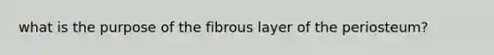 what is the purpose of the fibrous layer of the periosteum?