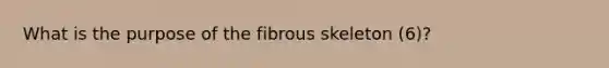 What is the purpose of the fibrous skeleton (6)?