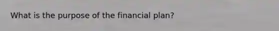 What is the purpose of the financial plan?