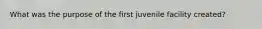 What was the purpose of the first juvenile facility created?