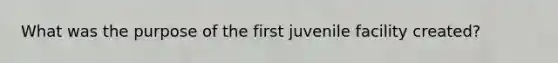 What was the purpose of the first juvenile facility created?