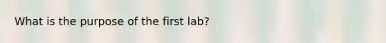 What is the purpose of the first lab?