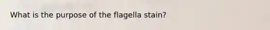 What is the purpose of the flagella stain?