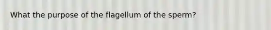 What the purpose of the flagellum of the sperm?