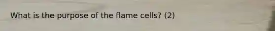 What is the purpose of the flame cells? (2)