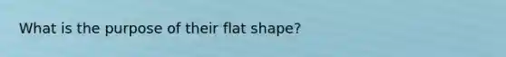 What is the purpose of their flat shape?