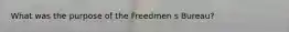 What was the purpose of the Freedmen s Bureau?