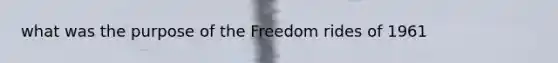 what was the purpose of the Freedom rides of 1961