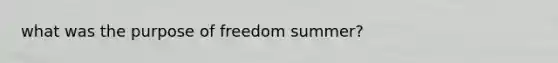 what was the purpose of freedom summer?