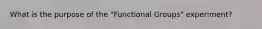 What is the purpose of the "Functional Groups" experiment?