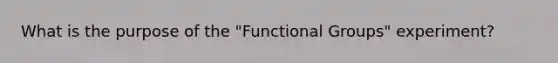 What is the purpose of the "Functional Groups" experiment?