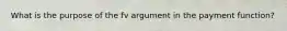 What is the purpose of the fv argument in the payment function?