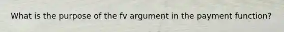 What is the purpose of the fv argument in the payment function?