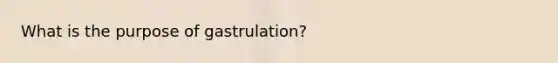 What is the purpose of gastrulation?