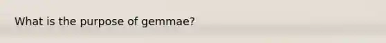 What is the purpose of gemmae?