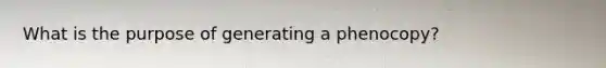 What is the purpose of generating a phenocopy?