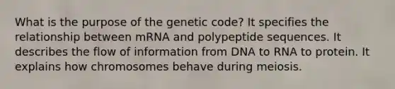 What is the purpose of the genetic code? It specifies the relationship between mRNA and polypeptide sequences. It describes the flow of information from DNA to RNA to protein. It explains how chromosomes behave during meiosis.