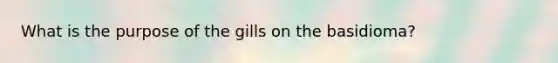 What is the purpose of the gills on the basidioma?