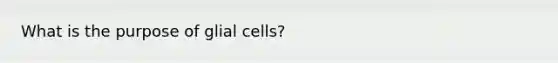 What is the purpose of glial cells?