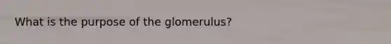 What is the purpose of the glomerulus?