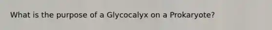 What is the purpose of a Glycocalyx on a Prokaryote?