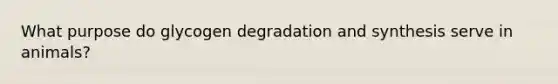 What purpose do glycogen degradation and synthesis serve in animals?