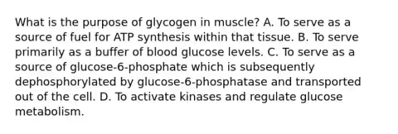 What is the purpose of glycogen in muscle? A. To serve as a source of fuel for <a href='https://www.questionai.com/knowledge/kx3XpCJrFz-atp-synthesis' class='anchor-knowledge'>atp synthesis</a> within that tissue. B. To serve primarily as a buffer of blood glucose levels. C. To serve as a source of glucose-6-phosphate which is subsequently dephosphorylated by glucose-6-phosphatase and transported out of the cell. D. To activate kinases and regulate glucose metabolism.