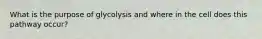 What is the purpose of glycolysis and where in the cell does this pathway occur?