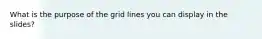 What is the purpose of the grid lines you can display in the slides?