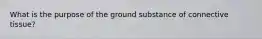 What is the purpose of the ground substance of connective tissue?