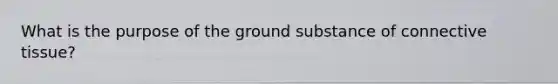 What is the purpose of the ground substance of connective tissue?