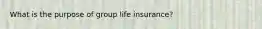 What is the purpose of group life insurance?